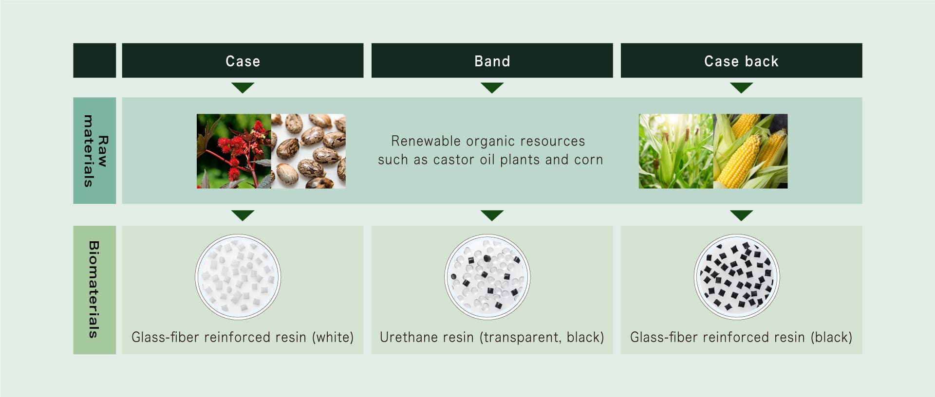 Infographic of raw materials processed to biomaterials for the different components of the watch